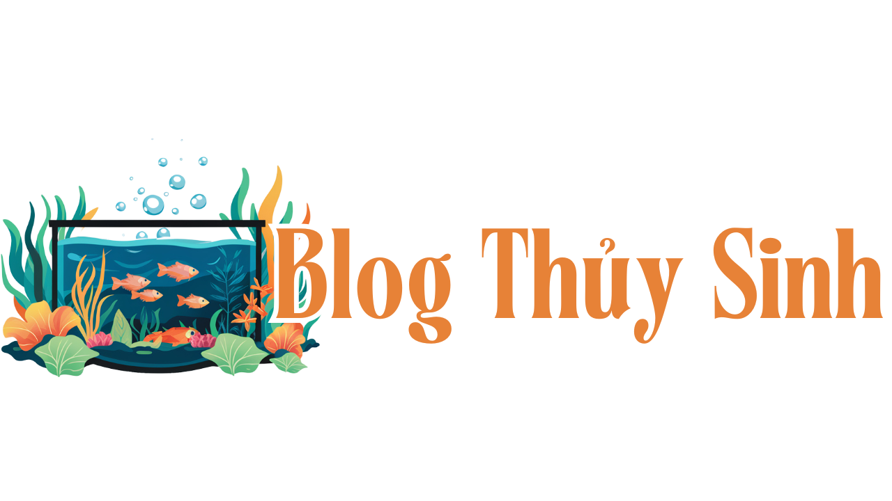 Blog Thủy Sinh